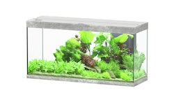 aquatlantis Splendid 240 Steinoptik Aquarium mit Unterschrank