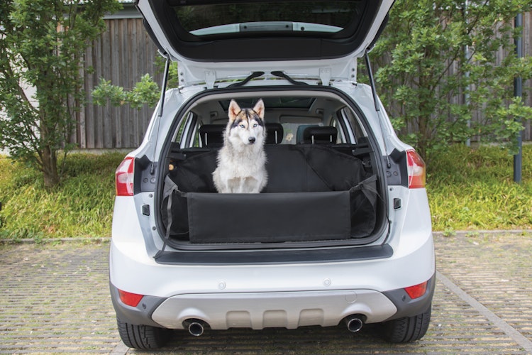 NOBBY Kofferraum Schutzdecke 155 x 121 cm