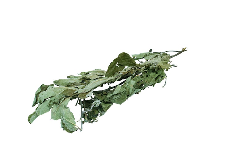 JR FARM Ein Stück Natur Apfelbaum-Ernte 40g Kleintierfutter