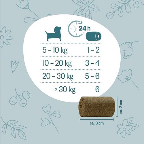 grau Hokamix30 Snack Maxi 400 Gramm Nahrungsergänzung