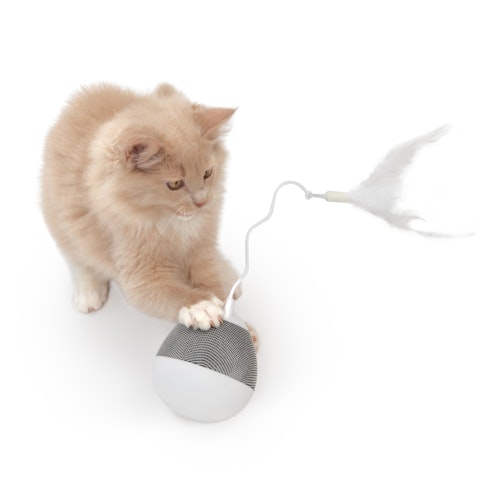 catit Pixi Kreisel Katzenspielzeug