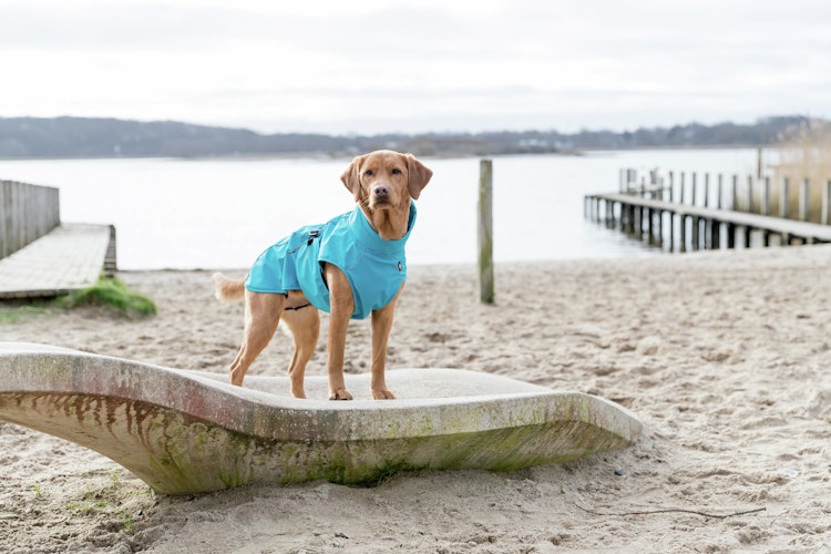 TRIXIE Regenmantel Vimy türkis HW22 Hundebekleidung