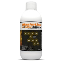 Masterline All In One Golden (1000 ml)