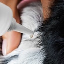 Vorschaubild Tierliebhaber Z-Spot