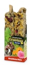Vorschaubild JR FARM Nager Grainless Farmys 140g Kleintiersnack