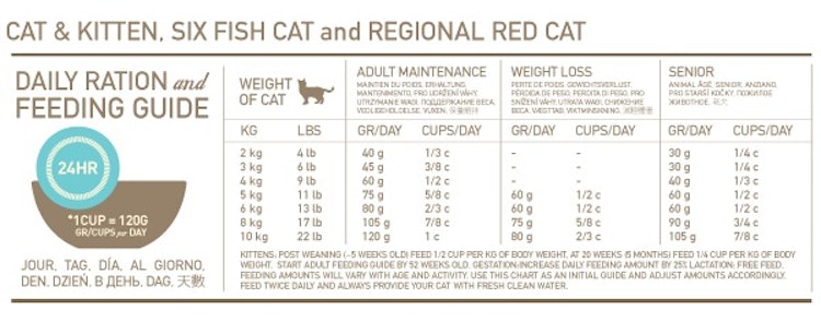 Orijen 6 Fish Katzentrockenfutter