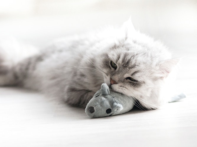 Aumüller Baldi Maus grau Baldrian-/ Dinkelkatzenspielkissen