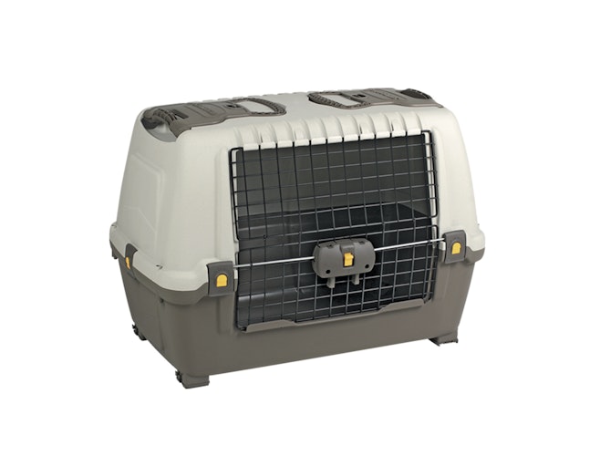 NOBBY Autobox Skudo Car 