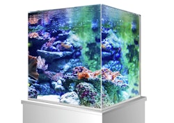 amtra Nanoscaping Weißglasbecken