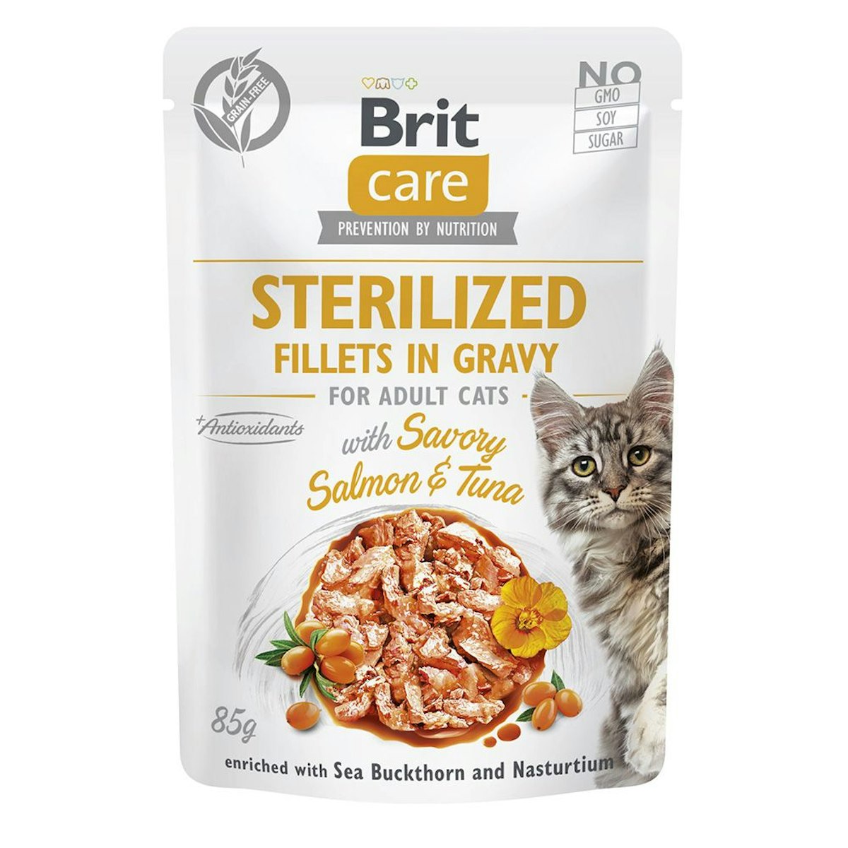 Brit Katze Sparpaket 48 x 85g Fillets in Gravy Salmon & Tuna