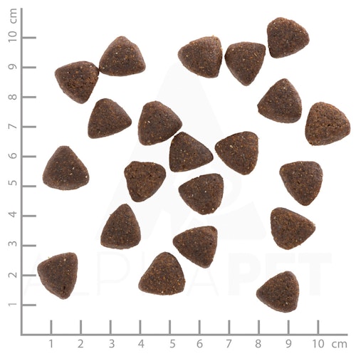 WOLFSBLUT Wide Plain Active Pferdefleisch mit Süßkartoffel Hundetrockenfutter