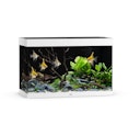 Vorschaubild JUWEL Rio 290 LED weiß Aquarium