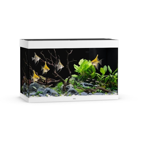 JUWEL Rio 290 LED weiß Aquarium