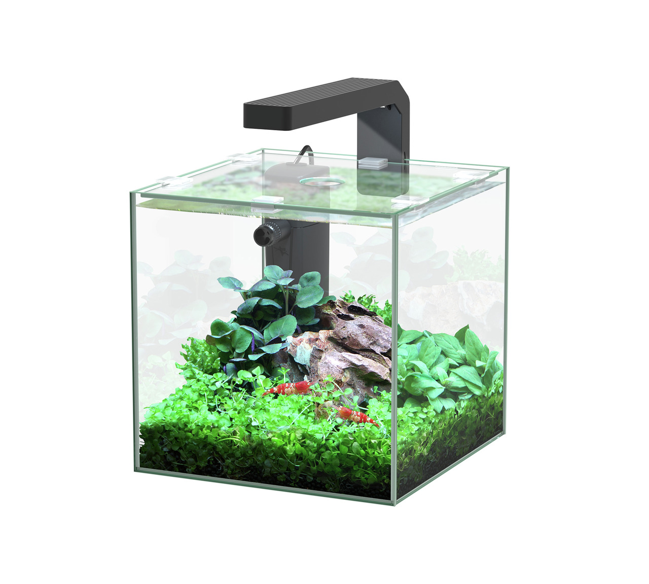 Aquatlantis Kubus LED Aquarium-Set