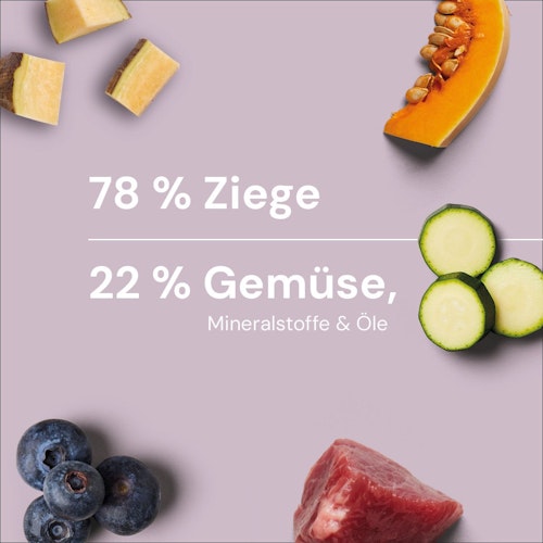 NUTIRMENT Barf in One Ziege