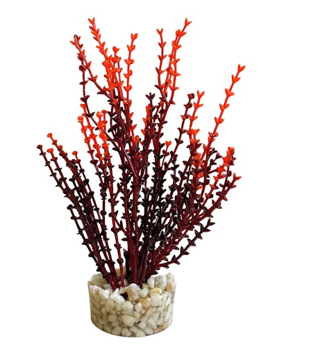 Sydeco Aqua Nano Moss 8 Zentimeter Aquariendekoration