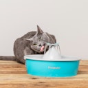 Vorschaubild PetSafeTrinkbrunnen Butterfly Trinkbrunnen