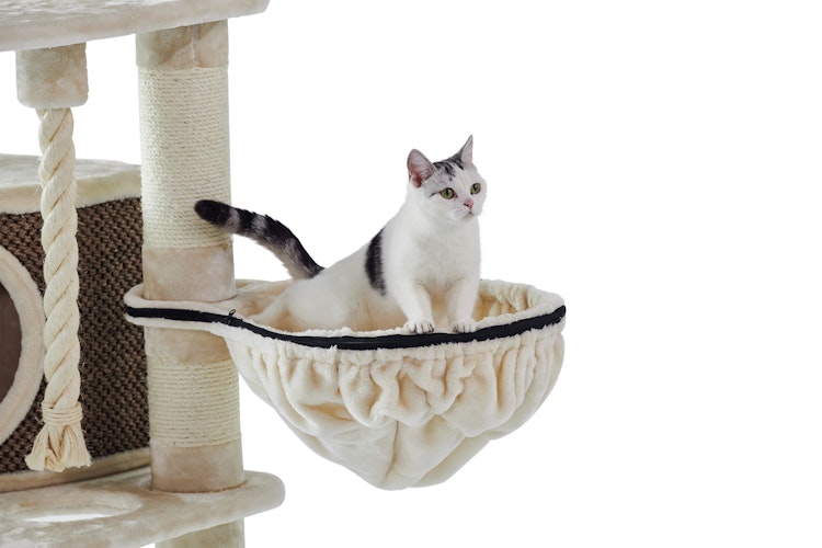 Nobby Kratzbaum Elif 70x70x189cm cream