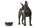Vorschaubild HUNTER Keramik-Napf Lund schwarz Hundenapf