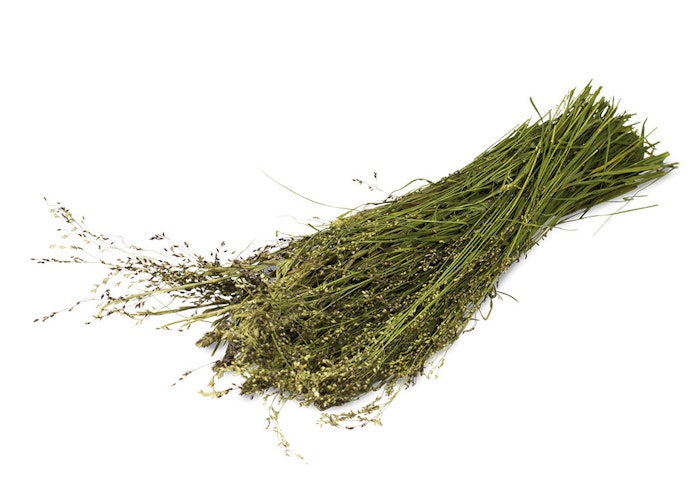 JR FARM Ein Stück Natur Wildgräser-Ernte 80g Kleintierfutter