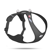 Curli All New Belka Comfort Black