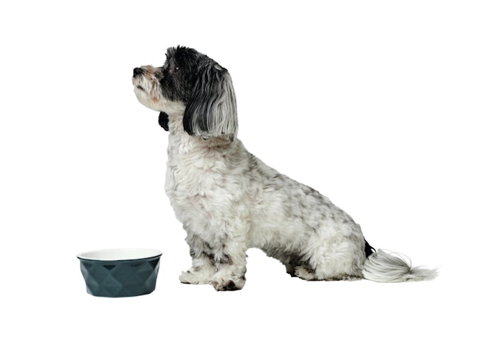 HUNTER Keramik-Napf Eiby blau Hundenapf