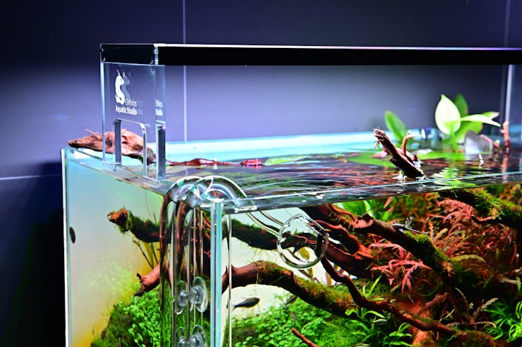 Chihiros Acryl Halterung für WRGB2 Aquarienzubehör