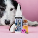 Vorschaubild Tierliebhaber Z-Spot