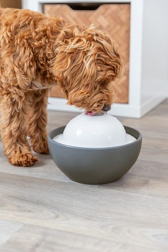 TRIXIE Trinkbrunnen Vital Dome, Keramik, 1,5 l/20 × 10 × 20 cm, grau/weiß