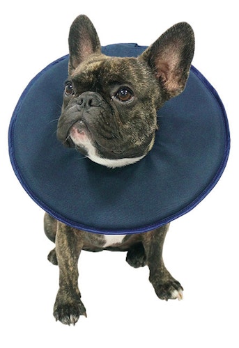 Vetlando Leckschutzkragen Hunde- & Katzenpflegeartikel