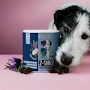 Vorschaubild Tierliebhaber Z-Snack