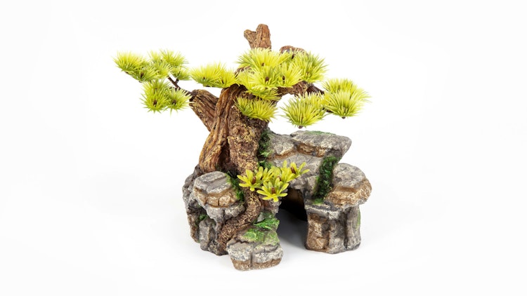 aquatlantis Bonsai