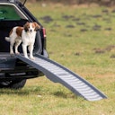 Vorschaubild TRIXIE Hunde-Rampe 3-fach klappbar Kunststoff 39x150cm grau