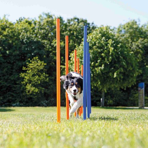 TRIXIE Fun Agility Slalom, Kunststoff, ø 3 × 115 cm, 12 St., blau/orange