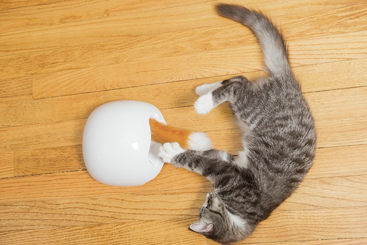 FroliCat Fuchsbau Katzenspielzeug