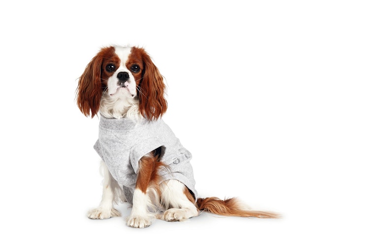 Karlie MEDI SUIT grau