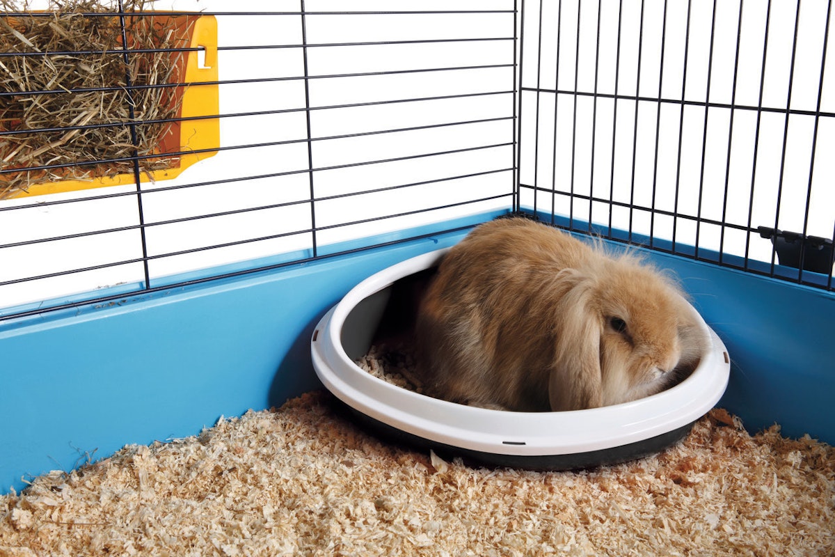 SAVIC Ecktoilette Concha für Kleintiere XL SAVIC Ecktoilette Concha für Kleintiere XL