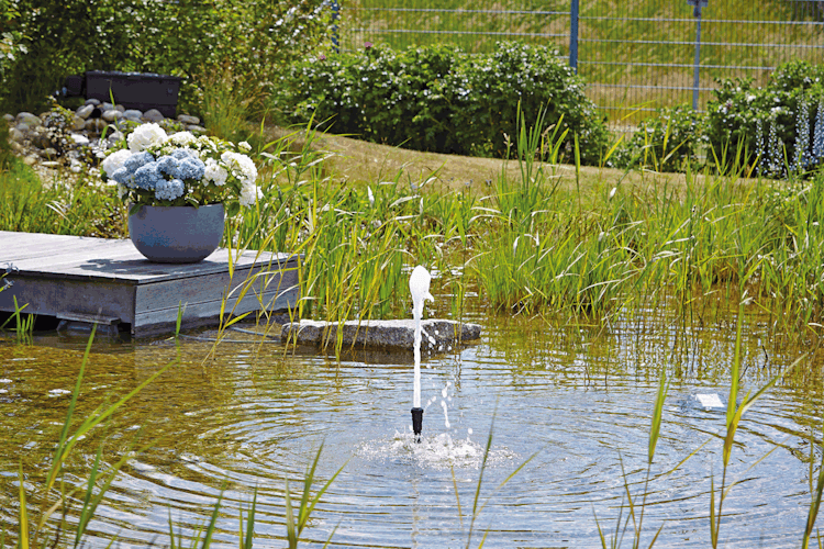 Oase Schaumsprudler 22 - 5 K