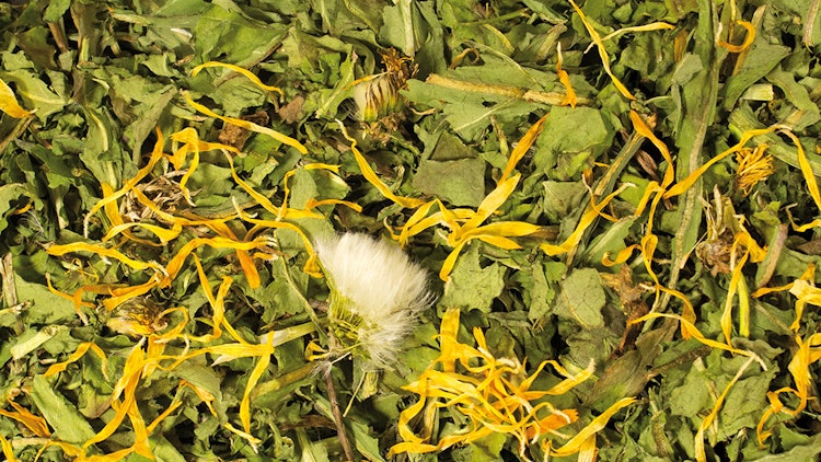 JR FARM Löwenzahn Raufutter für Kleintiere