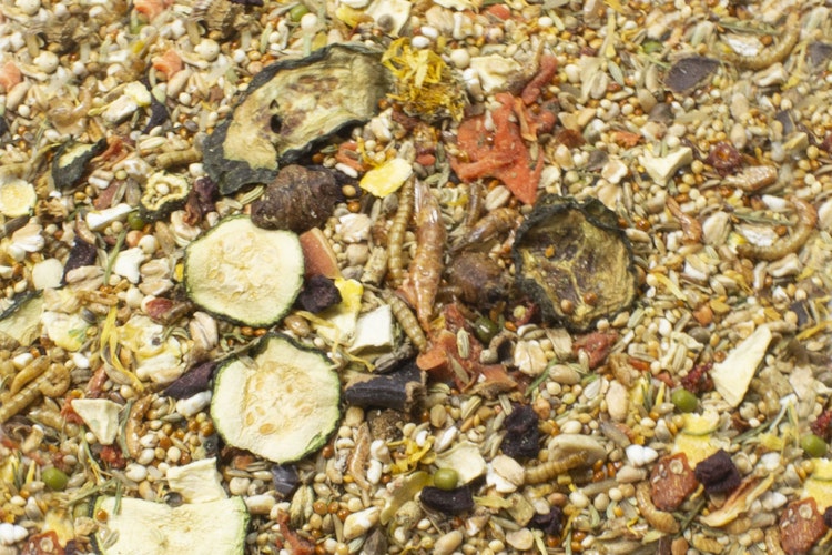 JR FARM Farm Food Zwerghamster 500g Kleintierfutter