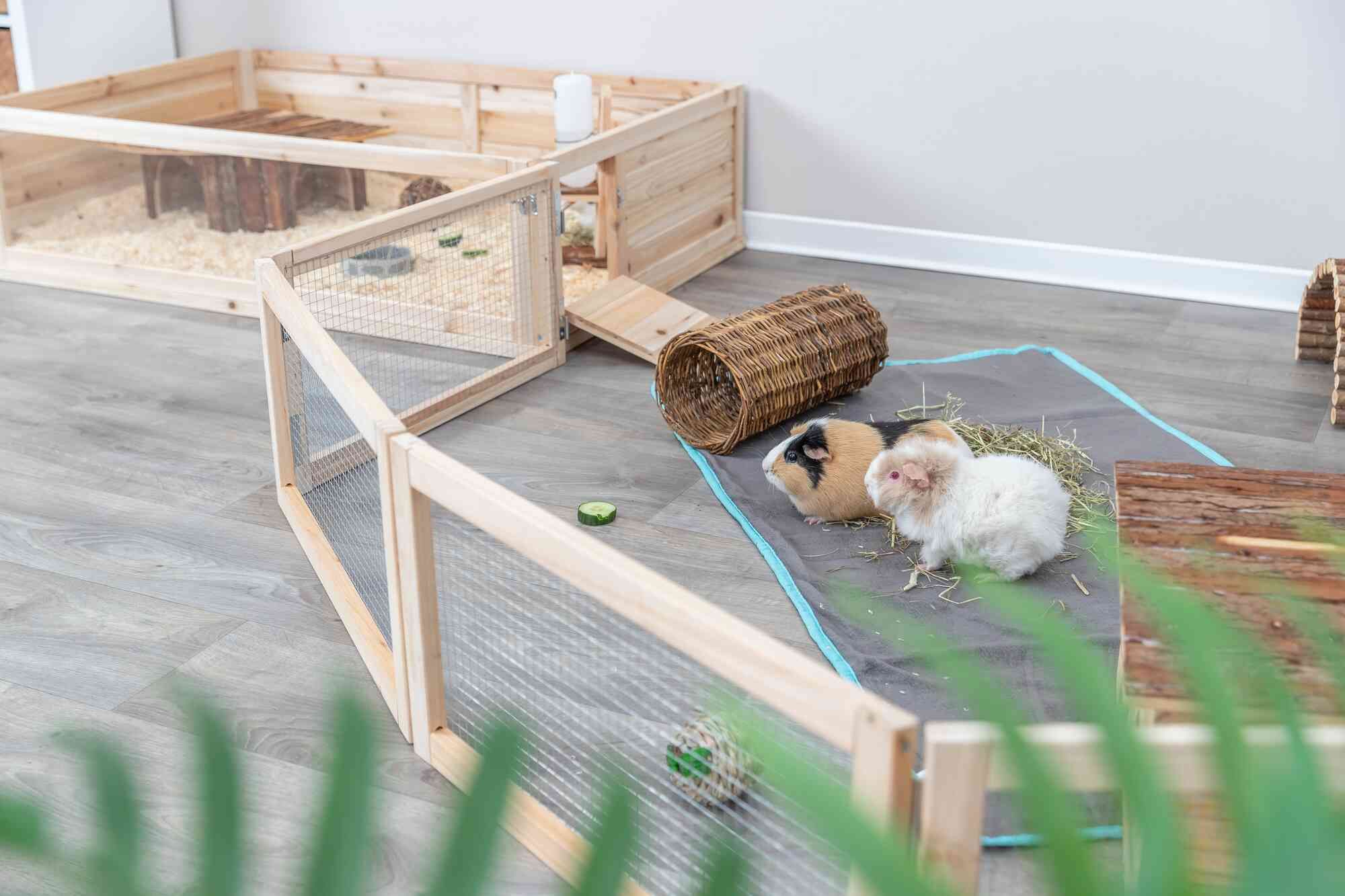 TRIXIE Indoor Freilaufgehege, Meerschweinchen, 4 Elemente à 60 × 30 cm