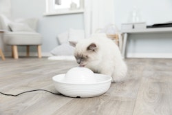 TRIXIE Vital Flow Trinkbrunnen 0,8 Liter weiß