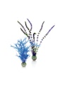 Vorschaubild biOrb Pflanzen Set mittel blau & lila (46059)