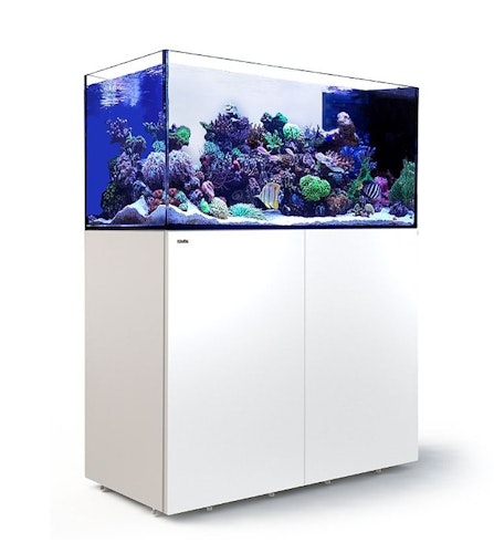 Red Sea REEFER™ Peninsula G3 500 System - Weiß