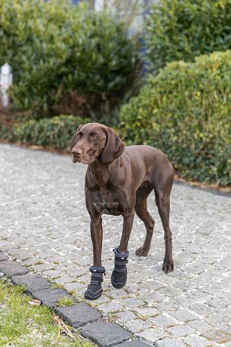 TRIXIE Pfotenschutz Walker Active Long, 2 St., schwarz