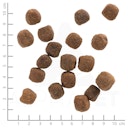 Vorschaubild WOLFSBLUT Wild Duck Entenfleisch mit Kartoffeln Hundetrockenfutter