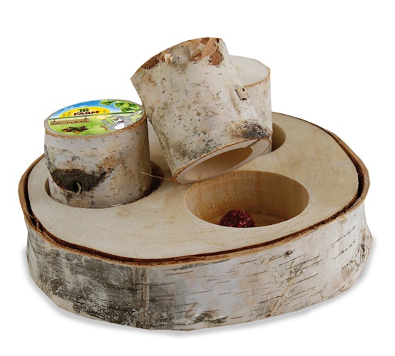 JR FARM Nager Train the Brain Forest (1 Stück) Intelligenzspielzeug für Kleintiere