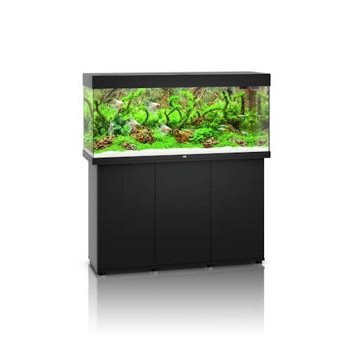 JUWEL Rio 240 LED Aquarium mit Unterschrank