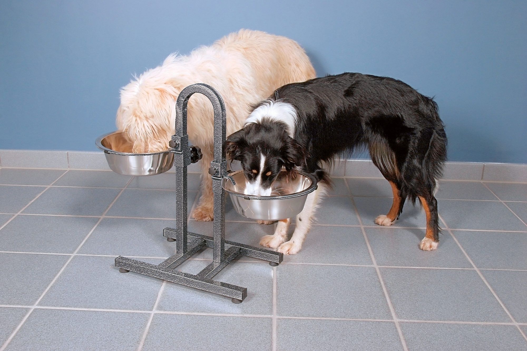 TRIXIE Hundebar, höhenverstellbar, Edelstahl/Metall, 2 × 2,8 l/ø 24 cm