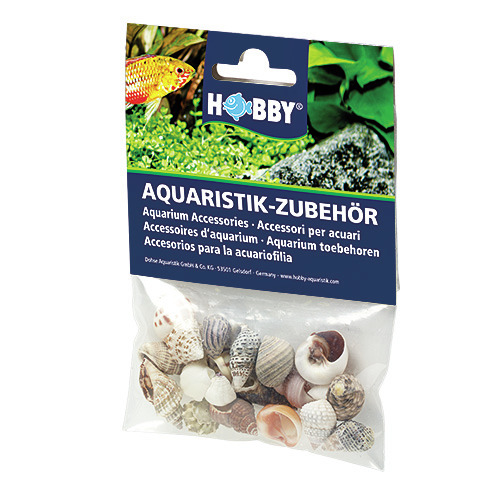 HOBBY Natur Sea Shells Aquarieneinrichtung